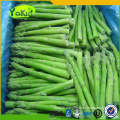 Bulk wholesale distribute IQF Frozen asparagus